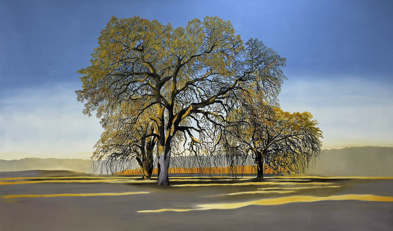 VALLEY OAKS, 72 x 120 in.