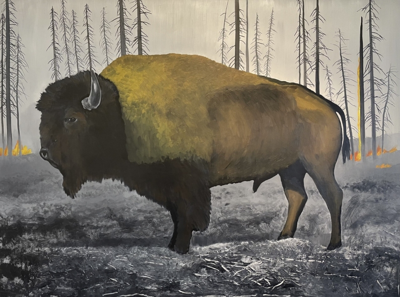 BISON, 36 x 48 in.