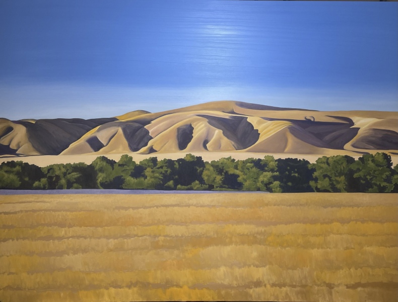 TEMBLOR RANGE SALINAS RIVER, 72 x 120 in.