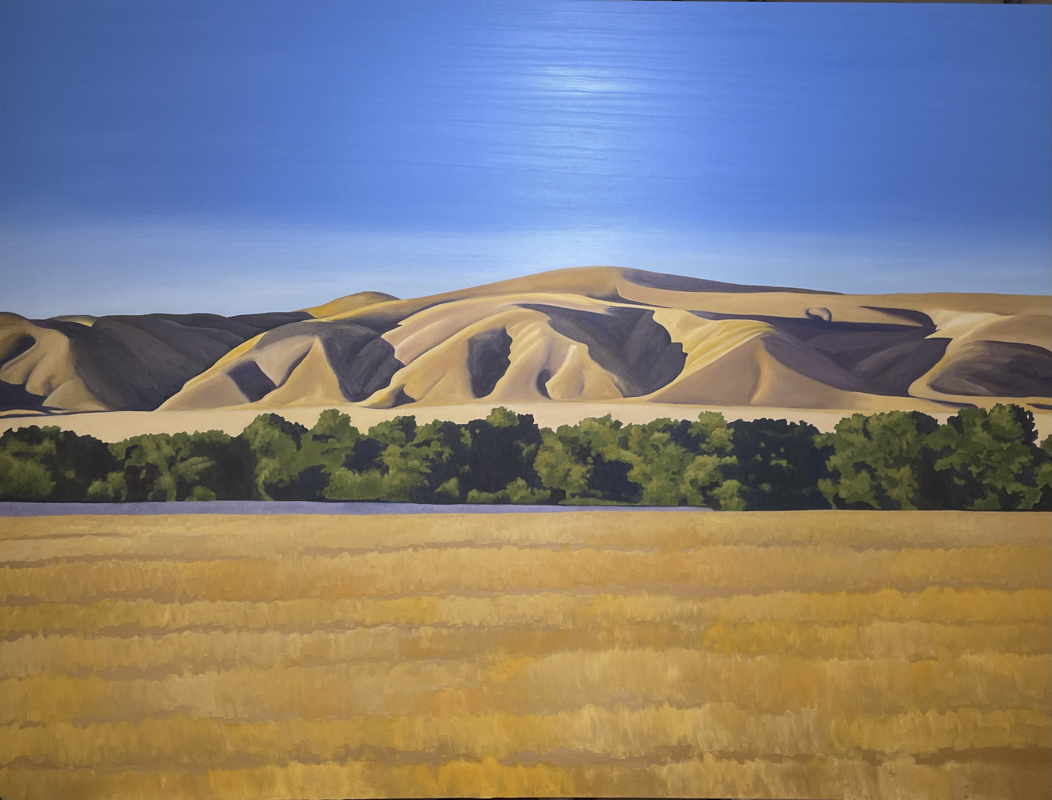TEMBLOR RANGE SALINAS RIVER, 72 x 120 in.