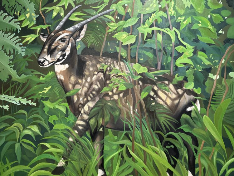 Saola