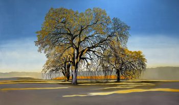 VALLEY OAKS 72 x 120 in.